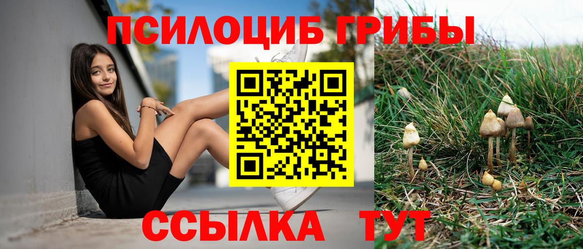 Галлюциногенные грибы Psilocybine cubensis  Вход с VPN  Реутов 